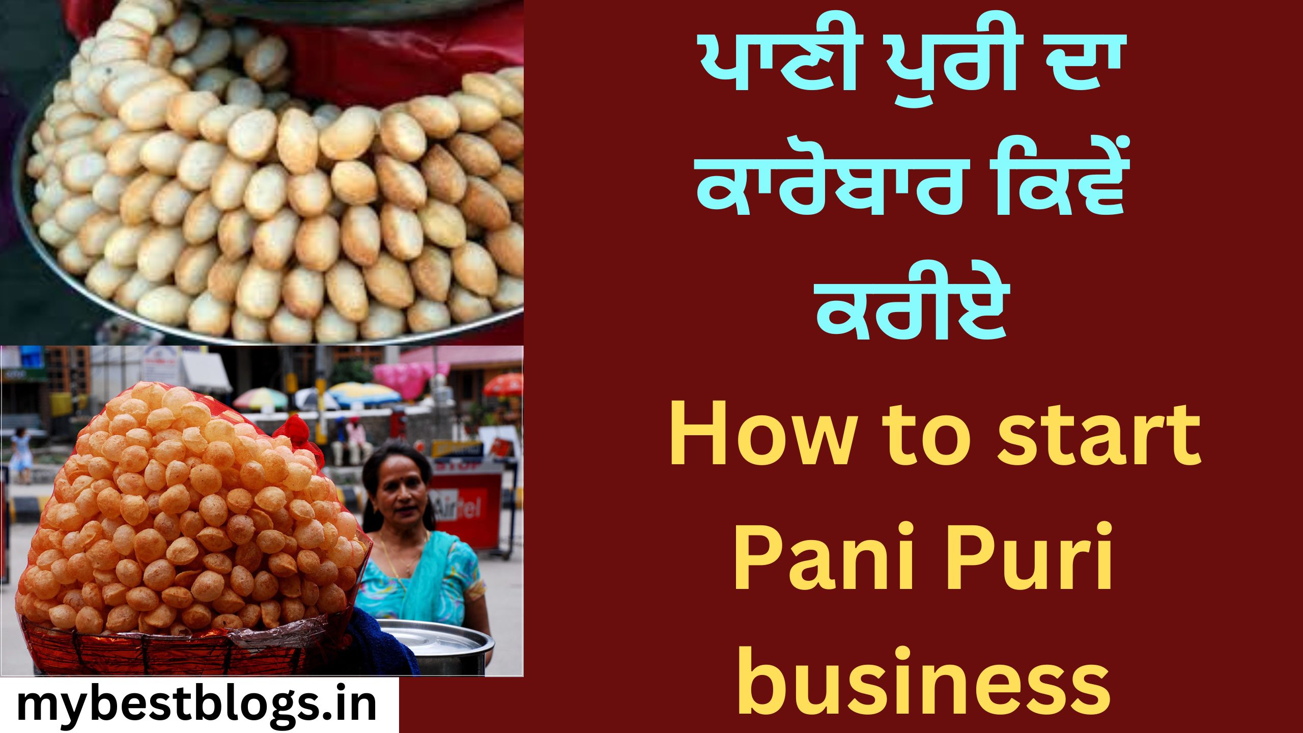 ਪਾਣੀ ਪੁਰੀ ਦਾ ਕਾਰੋਬਾਰ ਕਿਵੇਂ ਕਰੀਏ How to start Pani Puri business