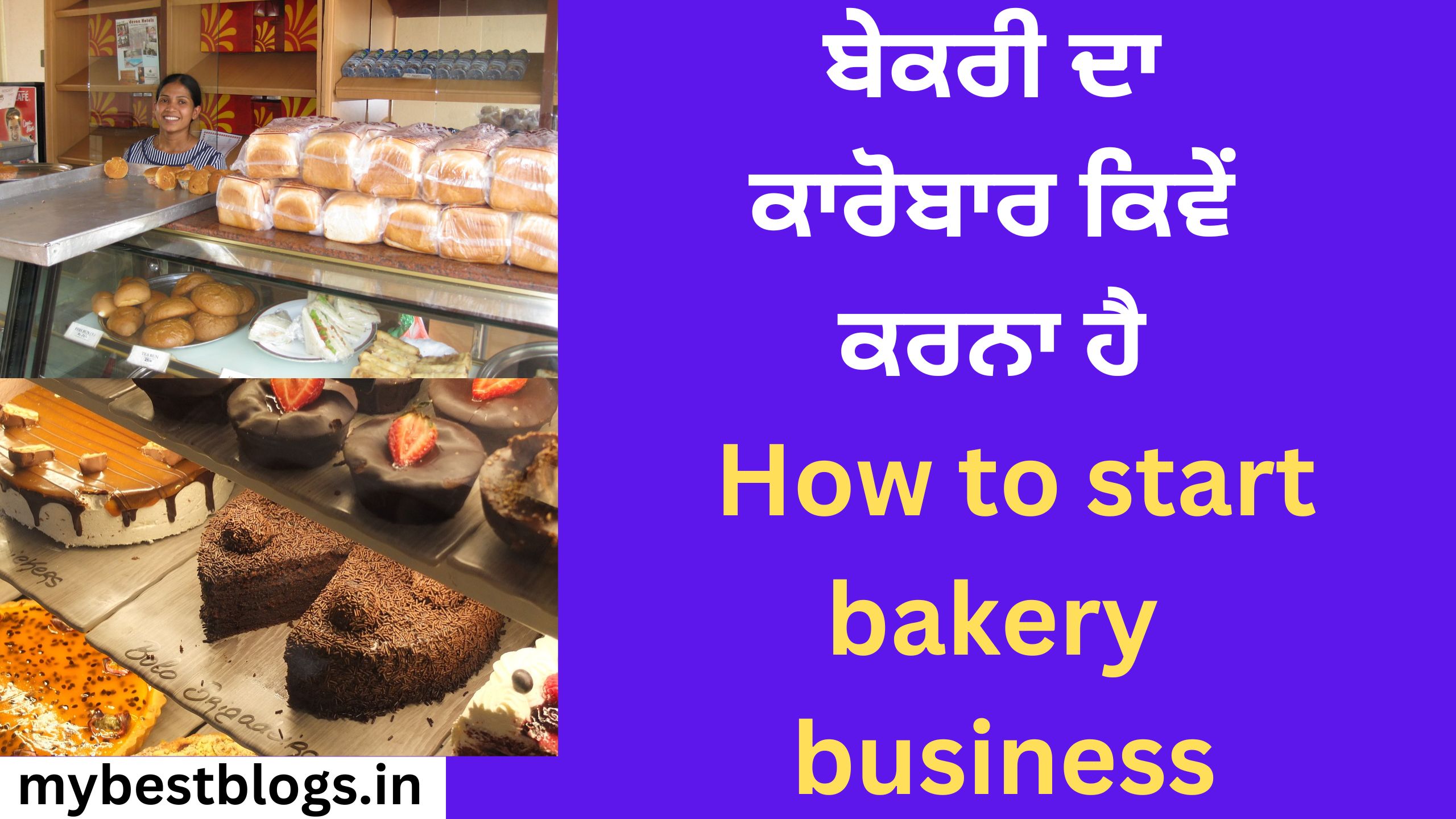 ਬੇਕਰੀ ਦਾ ਕਾਰੋਬਾਰ ਕਿਵੇਂ ਕਰਨਾ ਹੈ How to start bakery business