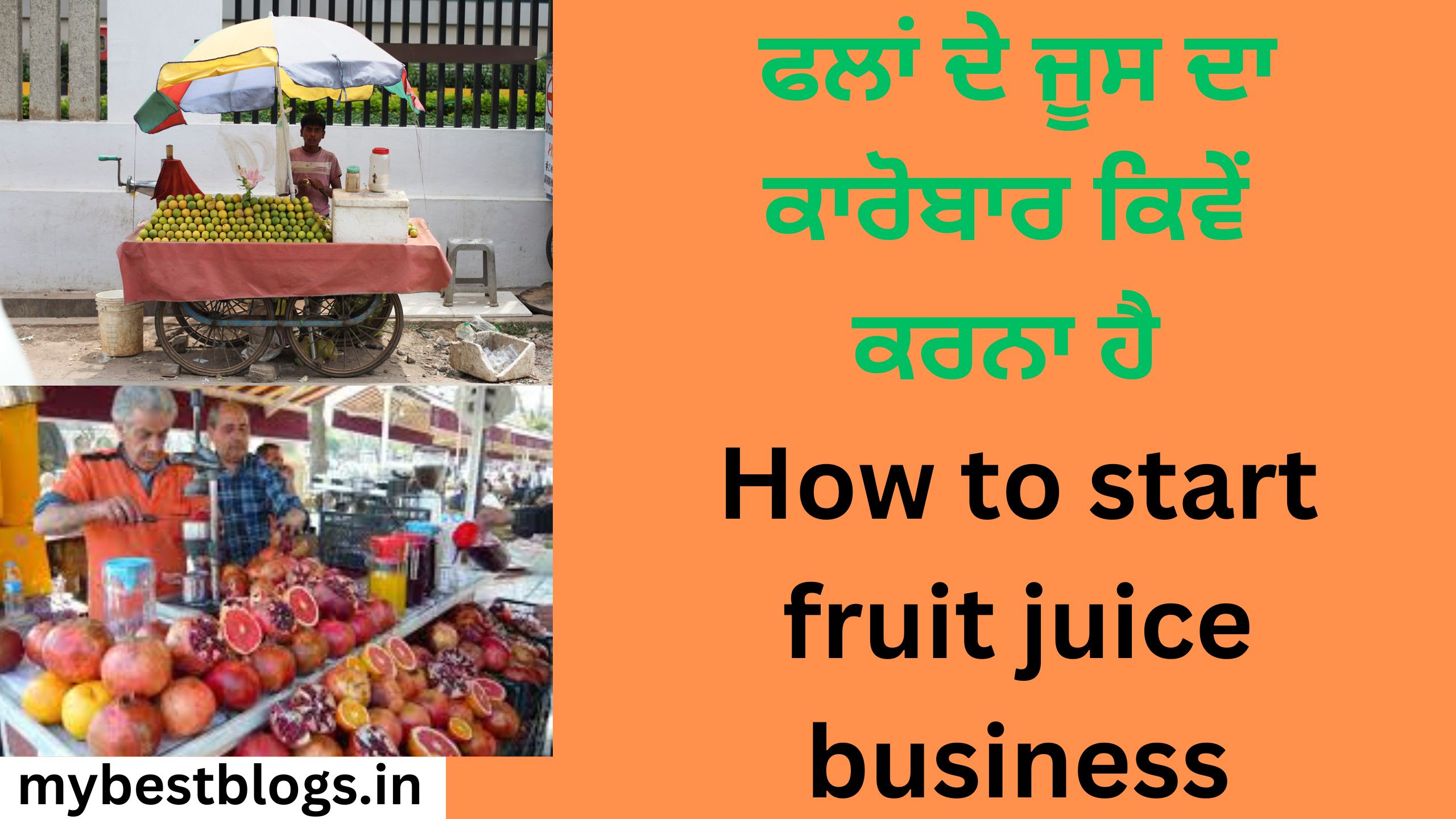 ਫਲਾਂ ਦੇ ਜੂਸ ਦਾ ਕਾਰੋਬਾਰ ਕਿਵੇਂ ਕਰਨਾ ਹੈ How to start fruit juice business