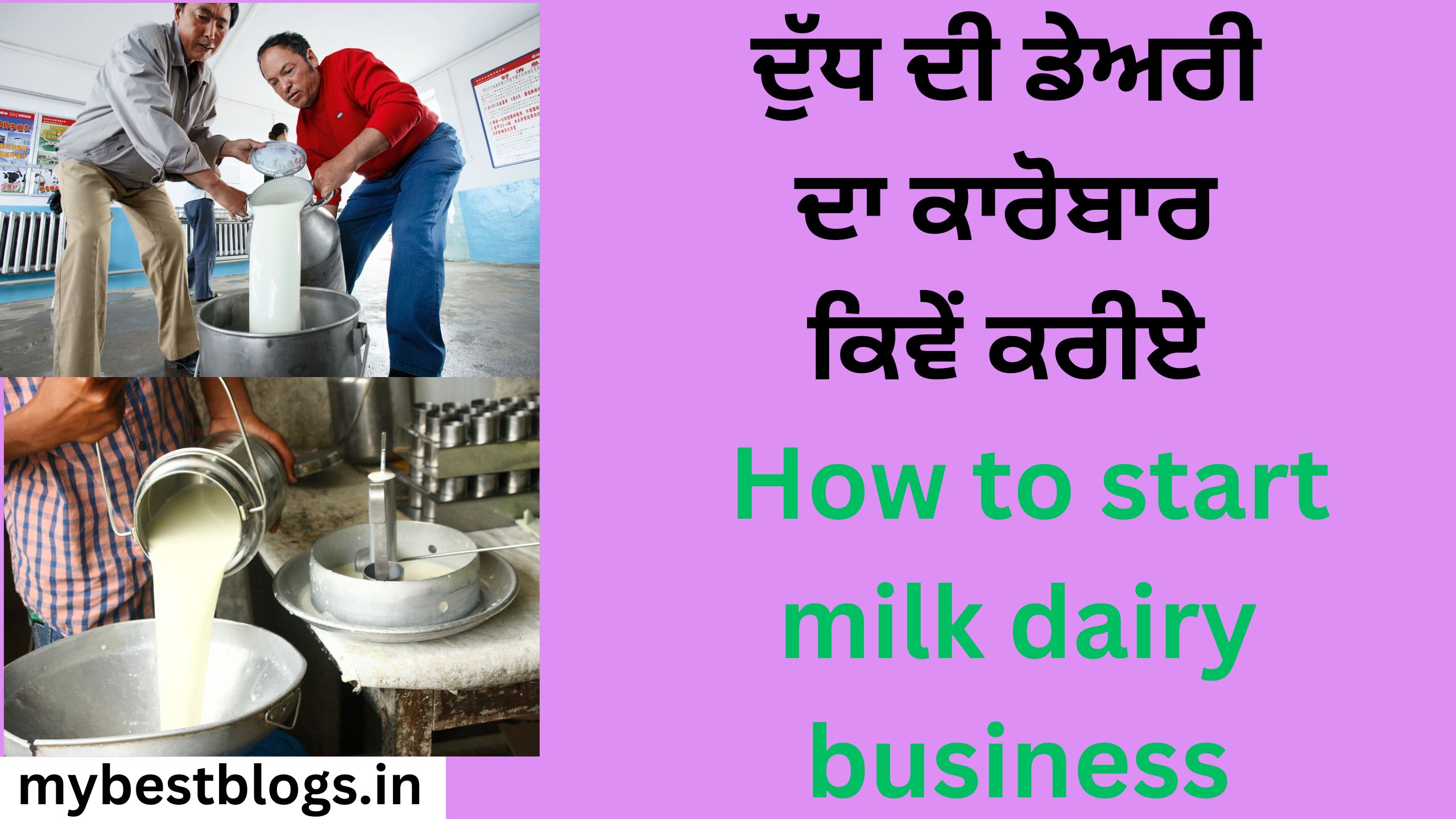 ਦੁੱਧ ਦੀ ਡੇਅਰੀ ਦਾ ਕਾਰੋਬਾਰ ਕਿਵੇਂ ਕਰੀਏ How to start milk dairy business